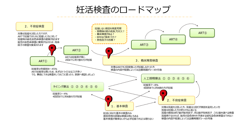 妊活検査のロードマップ。動画ではさらに詳しく解説)