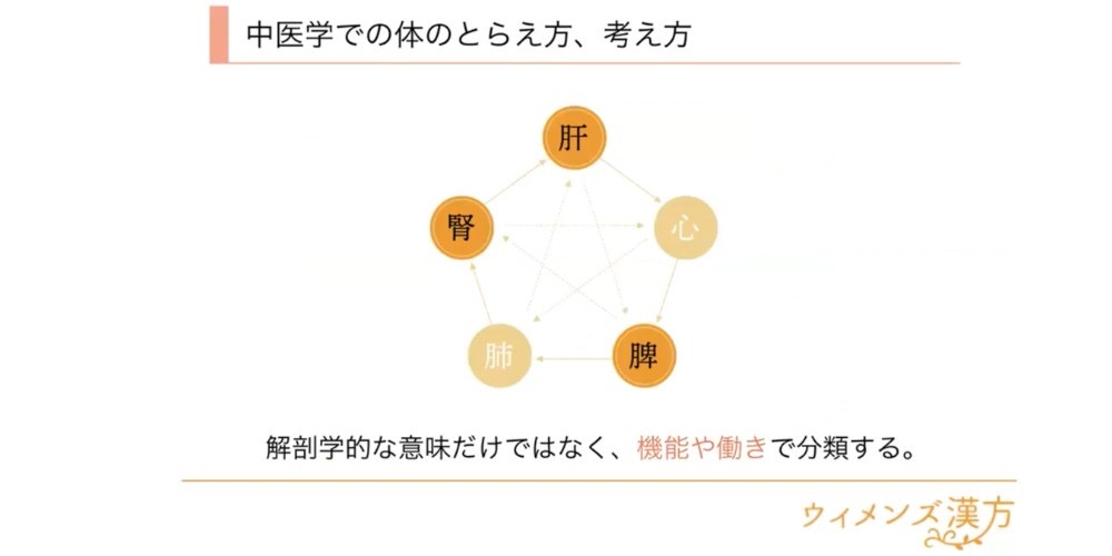 妊活ケア　中医学の五臓