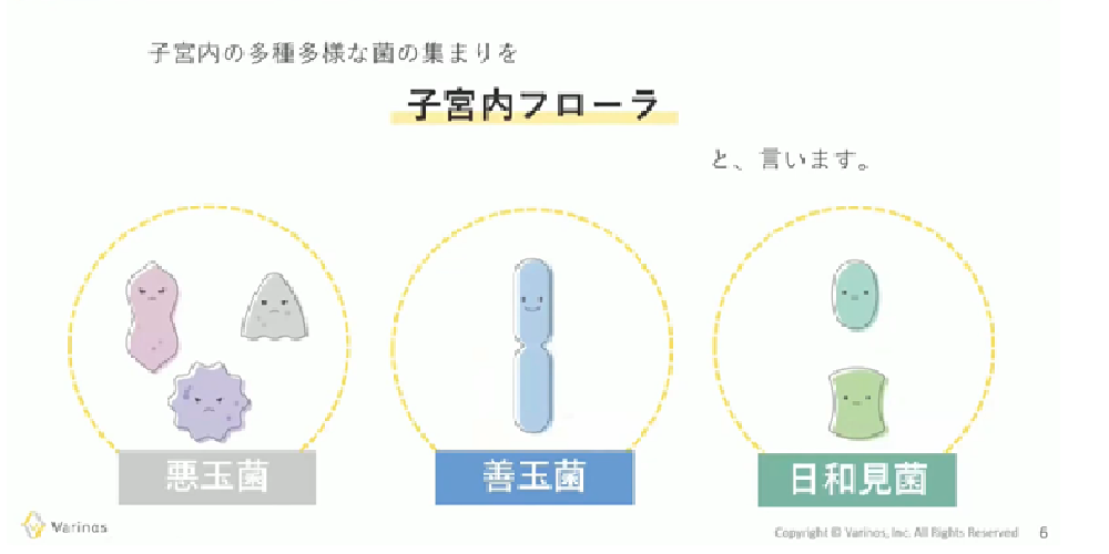 Varinos子宮内フローラ