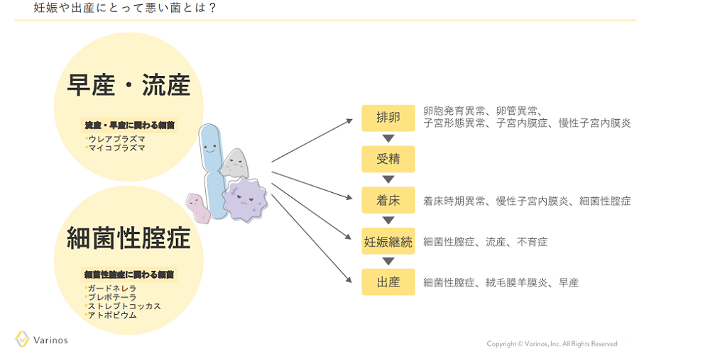 Varinos妊娠に悪い菌