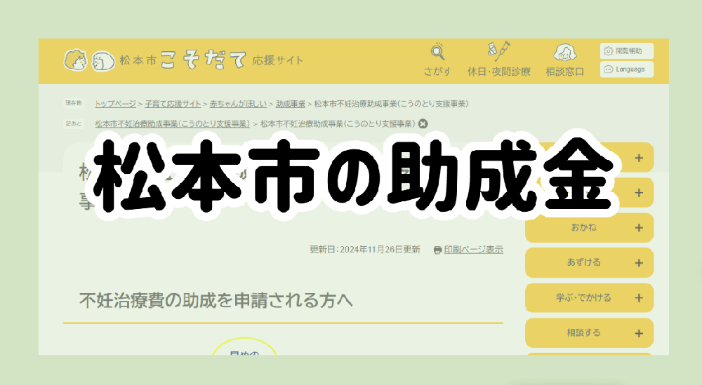 松本市の助成金